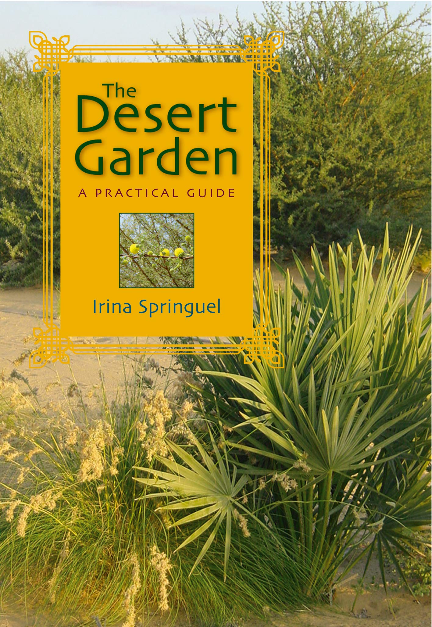 desert-garden-a-practical-gui