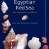 seashells-of-the-egyptian-red
