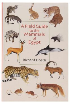 field-guide-to-the-mammals-of
