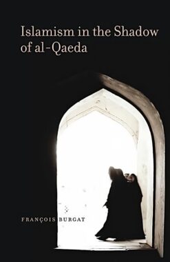islamism-in-the-shadow-of-al-q
