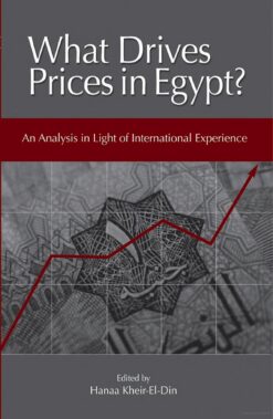 what-drives-prices-in-egypt