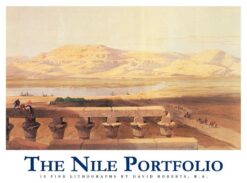 nile-portfolio