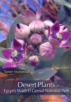 desert-plants-of-egypts-wadi-el-gemal-national-park