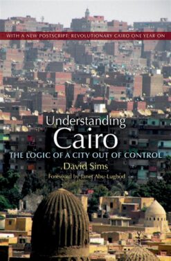 understanding-cairo