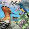 birds-of-the-nile-valley