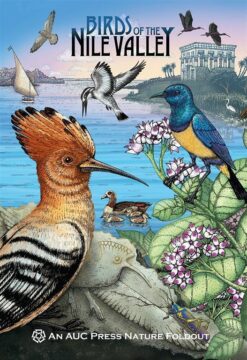 birds-of-the-nile-valley