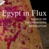 egypt-in-flux