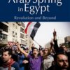 arab-spring-in-egypt