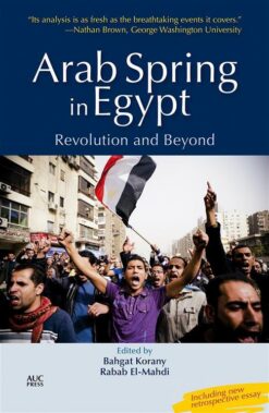 arab-spring-in-egypt