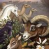 wildlife-of-the-holy-land