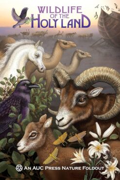 wildlife-of-the-holy-land