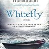 whitefly