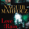 love-in-the-rain