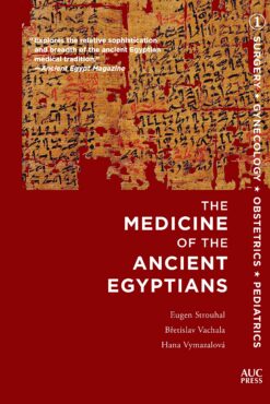 medicine-of-the-ancient-egypti-3