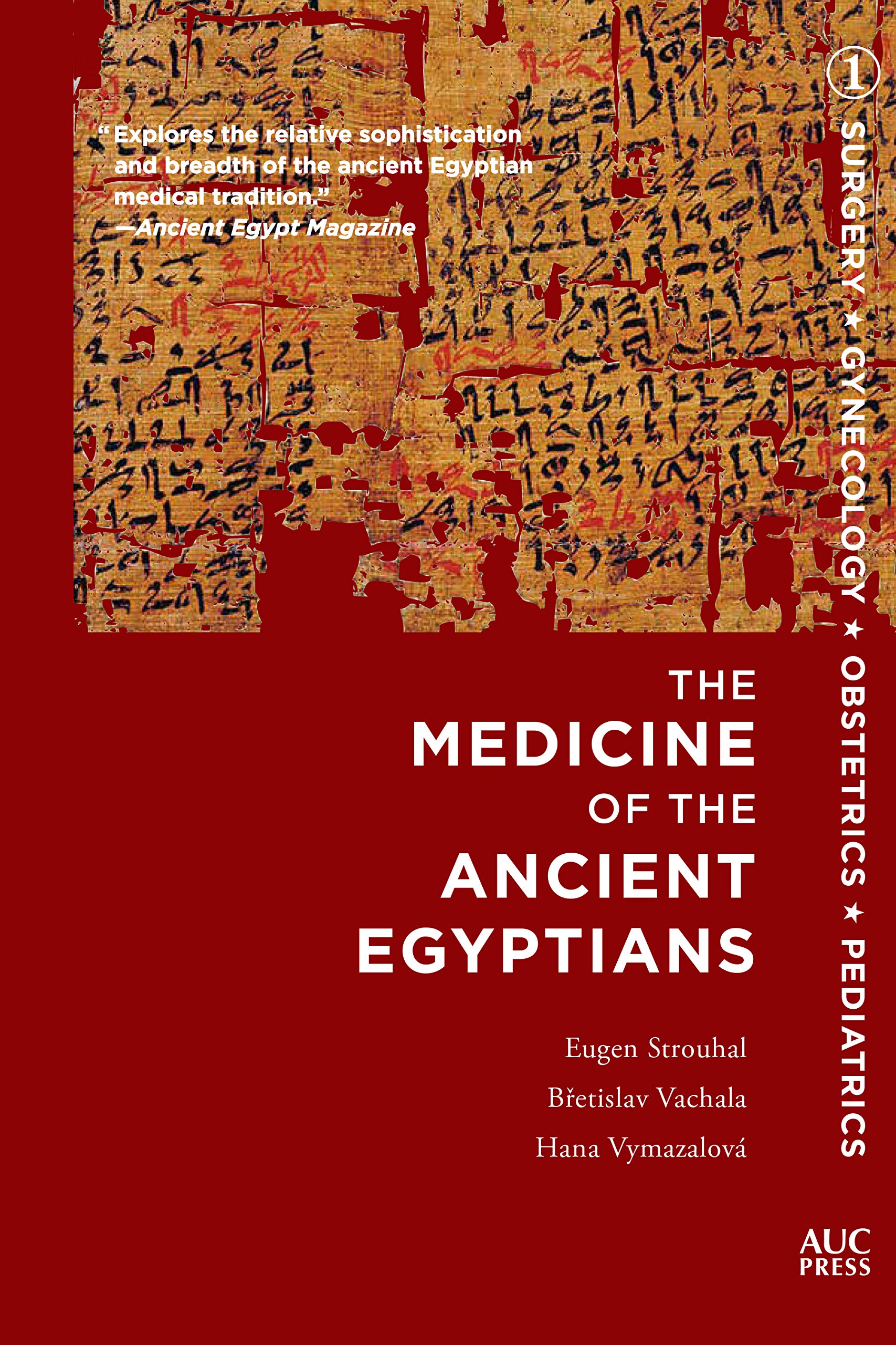 medicine-of-the-ancient-egypti-3