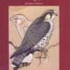 common-birds-of-egypt