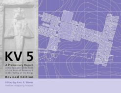 kv5-a-preliminary-report-on-the-excavation-of-the-tomb-of-t