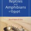 guide-to-reptiles-and-amphibia