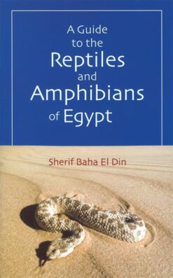 guide-to-reptiles-and-amphibia
