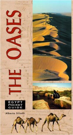oases-p-g-english
