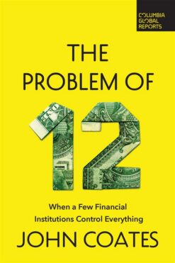 the-problem-of-twelve-when-a-few-financial-institutions-con