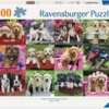 Puppy Pals 500 Pcs