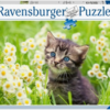Kitten in the Meadow 500 Pcs