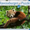 Cute Red Panda 500 Pcs
