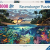Coral Bay 1000 Pcs