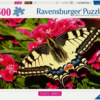 Butterfly 500 Pcs