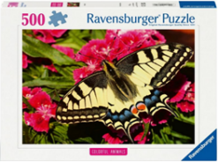 Butterfly 500 Pcs