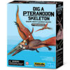 Dig a Pteranodon Skeleton