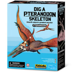 Dig a Pteranodon Skeleton