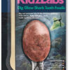 KIDZLABS/DIG GLOW SHARK TOOTH FOSSILS