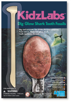 KIDZLABS/DIG GLOW SHARK TOOTH FOSSILS