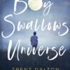 Boy Swallows Universe