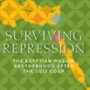 surviving-repression-the-egyptian-muslim-brotherhood-after-the-2013-coup-identities-and-geopolitics-in-the-middle-east