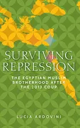 surviving-repression-the-egyptian-muslim-brotherhood-after-the-2013-coup-identities-and-geopolitics-in-the-middle-east