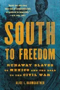 south-to-freedom-runaway-slaves-to-mexico-and-the-road-to-the-civil-war