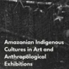 amazonian-indigenous-cultures-in-art-and-anthropological-exhibitions-anthem-brazilian-studies