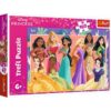 Puzzles - "160" - Real princesses / Disney Princess_FSC Mix 70% | Toys & Games | Kalimat Store