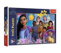 Puzzles - "100" - Wish / Disney Wish | Toys & Games | Kalimat Store