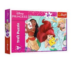 Puzzles - "30" - Beautiful and brave / Disney Princess FSC Mix 70% | Toys & Games | Kalimat Store