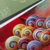 ناشيونال جيوجرافيك للشباب 33 | ISBN 6221133021715 | Kalimat Store