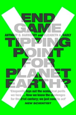 End Game | ISBN 9780007548170 | Kalimat Store