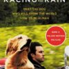 Art of Racing in the Rain | ISBN 9780062370945 | Kalimat Store
