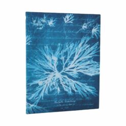 Sea Flowers Ultra Lined Softcover Flexi Journal (Anna Atkins' Cyanotypes)(Elastic Band Closure) | ISBN 9780349713656 | Kalimat Store