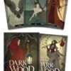Dark Wood Tarot | ISBN 9780738759302 | Kalimat Store