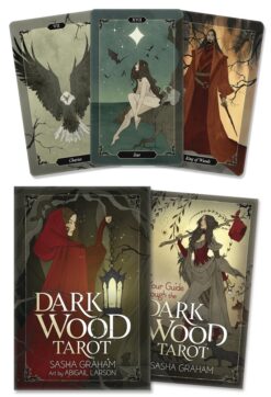 Dark Wood Tarot | ISBN 9780738759302 | Kalimat Store