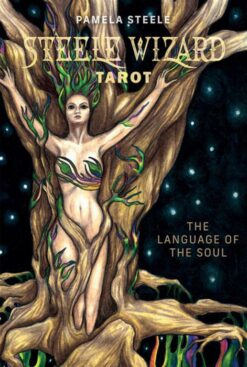 Steele Wizard Tarot: The Language of the Soul | ISBN 9780764366215 | Kalimat Store